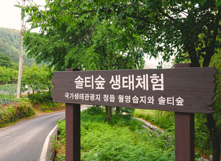 내장산 솔티 송죽마을